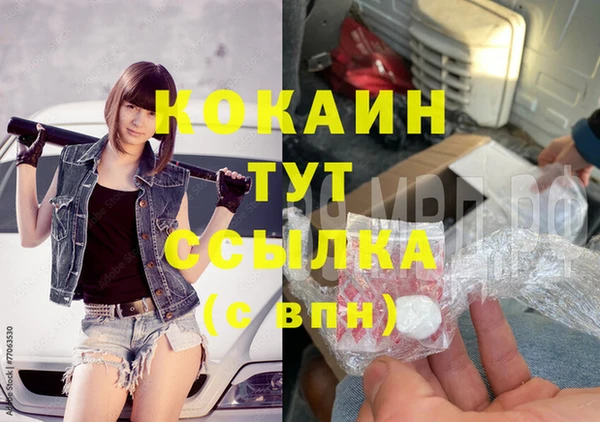 дживик Верхний Тагил