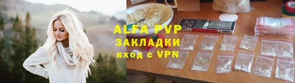 дживик Верхний Тагил
