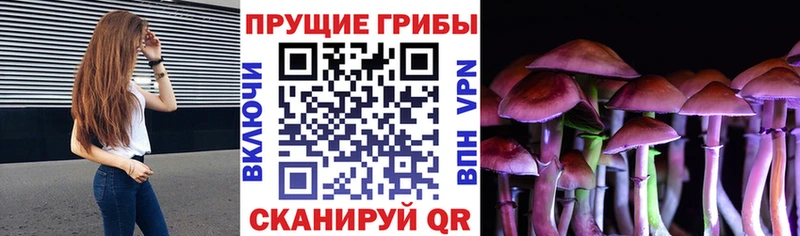 Псилоцибиновые грибы MAGIC MUSHROOMS  Топки 